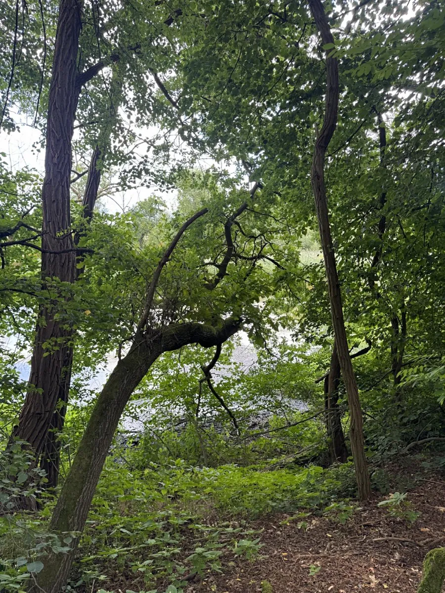 Fotka 6 z 12